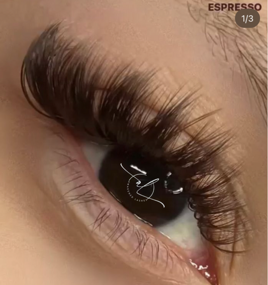 0.05 18 Rows (Mixed Lengths) Espresso Brown Teddy Collection Volume Lash Tray